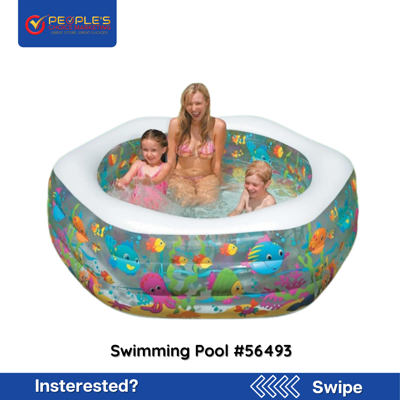 Intex Swimming Pool #56493